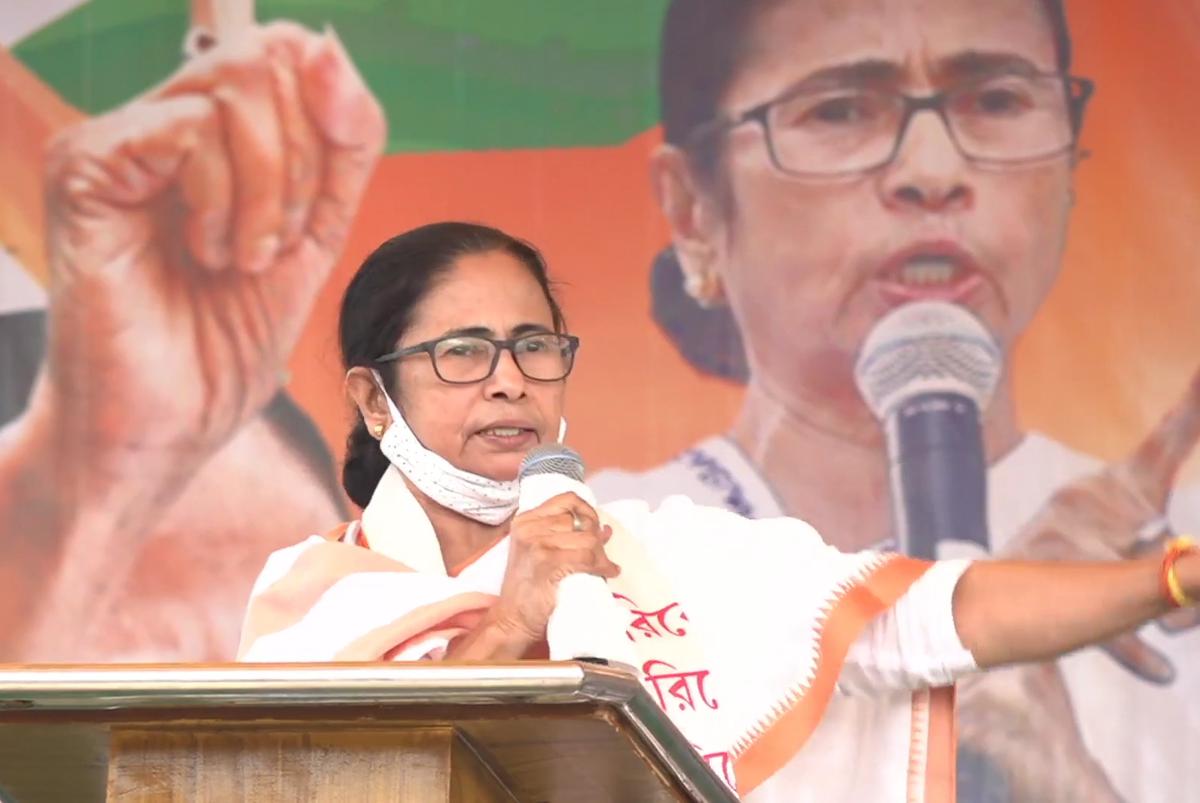 mamata banerjee at gopalnagar Bengali News