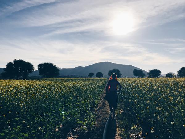 Farmer - woman - India 